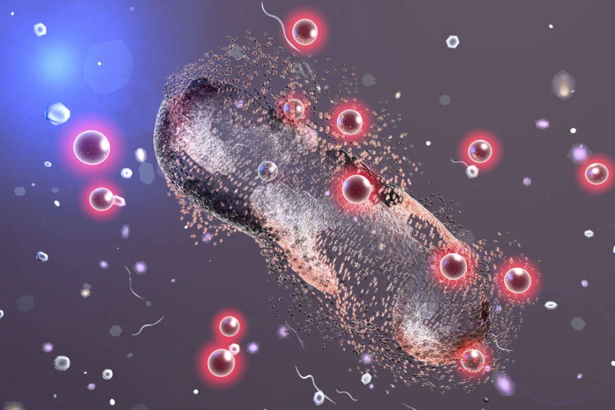 biological destruction of bacteria