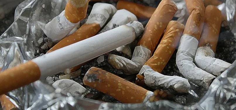 806x378-france-to-partially-ban-smoking-in-public-areas-to-protect-children-1748598934433