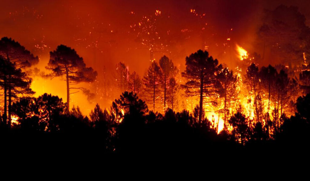 Fire_1